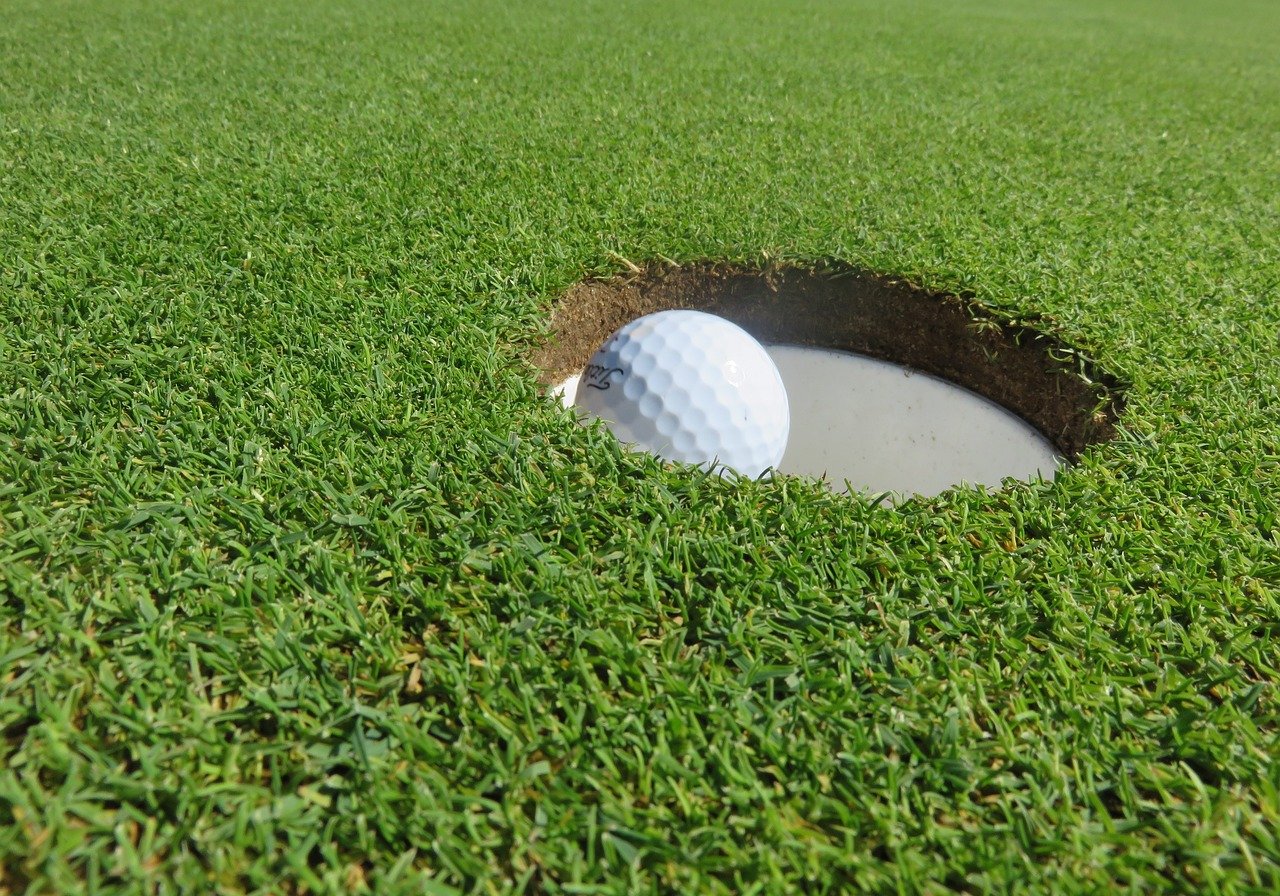 golf ball, nature, golf-549228.jpg